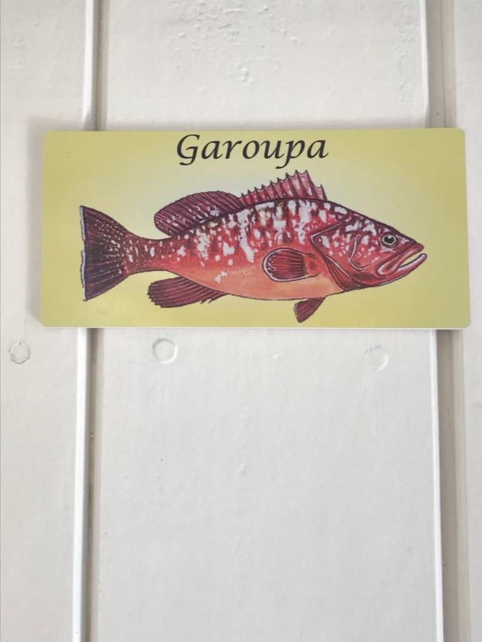 ホテル Aquarius Osteria アハイアウ・ド・カボ エクステリア 写真